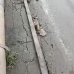 IMG 20240315 WA0008
