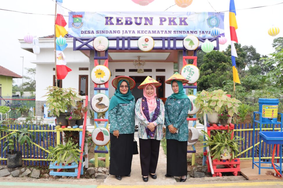 IMG 20240702 WA0138