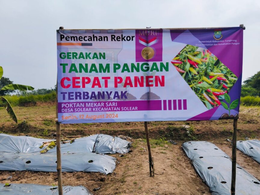 Pemkab Tangerang Pecahkan Rekor Muri, Tanam 136.700 Bibit Cabai Rawit di 29 Kecamatan 1 IMG 20240812 WA0040