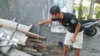 IMG 20240924 WA0231
