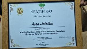 IMG 20250627 WA0066
