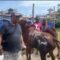 IMG 20260502 WA0112