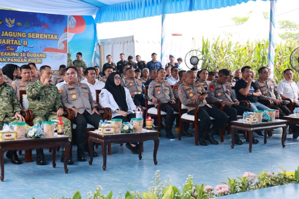 IMG 20260516 WA0145