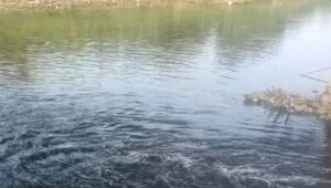 IMG 20260719 WA0078
