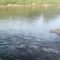 IMG 20260719 WA0078