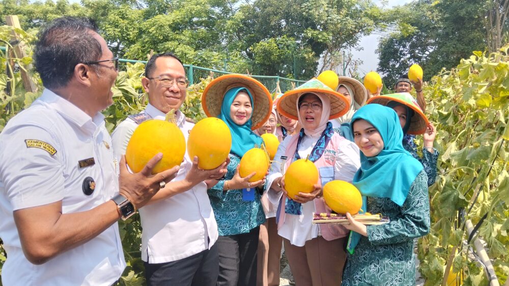 IMG20260722114606